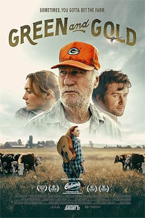extra4k-iptv-green-and-gold (1)
